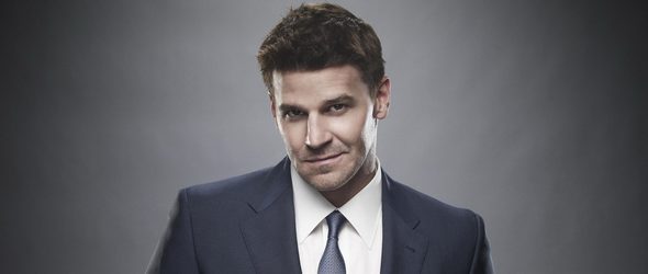 Fakten zu David Boreanaz