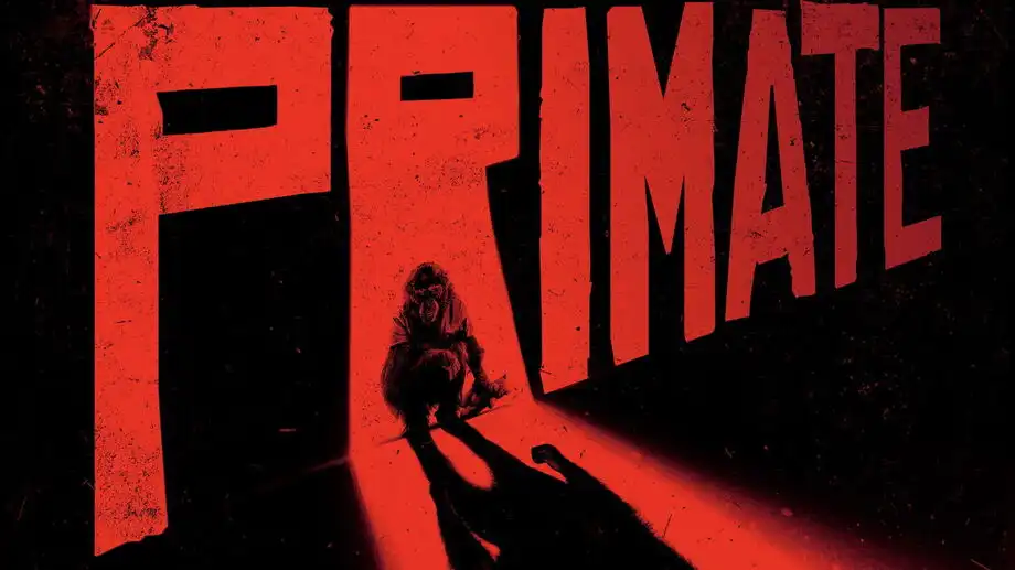 Primate