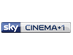 Sky Cinema +1