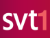 SVT 1
