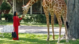 Rosario Dawson und eine stattliche Giraffe in Briarpatch (c) USA Network