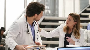 Szenenbild aus der Grey's-Anatomy-Episode A Diagnosis / (c) ABC