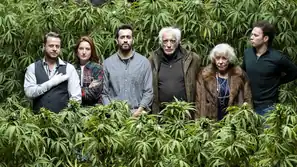 Joint Venture: Trailer zur 2. Staffel der Netflix-Kiffercomedy