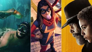 Streaming-Tipps: My Octopus Teacher, Marvel's 616, The Good Lord Bird 