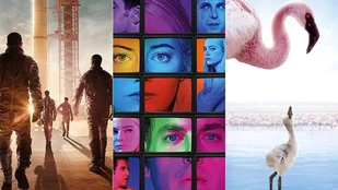 Streaming-Tipps: The Right Stuff, Maniac und Das Geheimnis der Flamingos