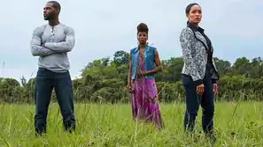 Queen Sugar: 6. Staffel bei OWN bestellt
