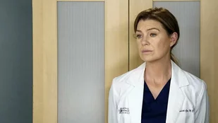 Grey's Anatomy: Ellen Pompeo reagiert auf Kritik zu Staffel 17