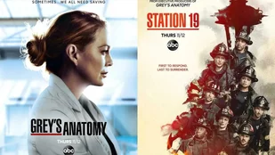 Grey's Anatomy und Seattle Firefighters: Free-TV-Fortsetzung Mitte Juli 