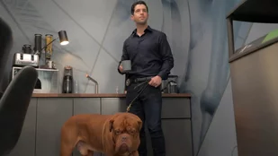Turner & Hooch: Trailer zur Disney-Serie best&auml;tigt tragischen Verlust