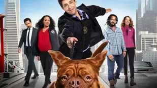 Heute neu: Turner & Hooch bei Disney+