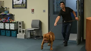 Szenenfoto aus der Pilotfolge von Turner & Hooch (c) Disney+