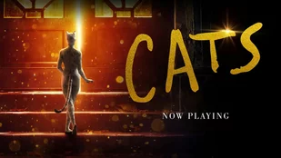 Streamingtipp zum internationalen Katzentag: Cats