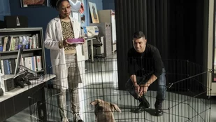 NCIS: Fortsetzung der 18. Staffel im September bei Sat. 1