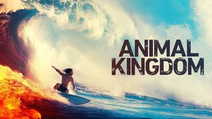 Animal Kingdom: Free-TV-Premiere der 4. Staffel im September