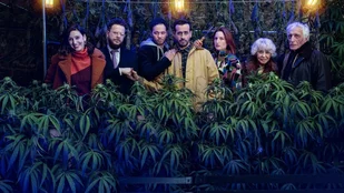 Joint Venture: Trailer zur 3. und letzten Staffel der Netflix-Comedy