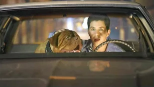 Turner & Hooch: Disney+ setzt Hundecomedy nach 1. Staffel ab