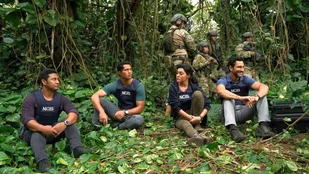 US-Quoten: NCIS - Hawai'i mit Rekordwert dank Football
