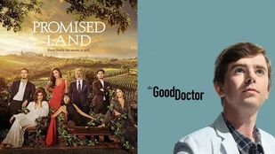 Promised Land: Wein-Soap fliegt raus, The Good Doctor &uuml;bernimmt