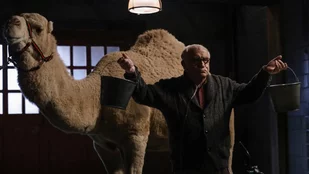 Teddy Coluca in The Blacklist, (c) NBC