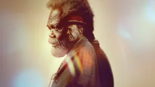 The Last Days of Ptolemy Grey: Kritik zur Miniserie auf Apple TV+