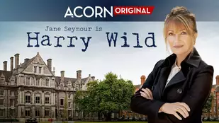 Heute neu: Harry Wild bei Acorn TV