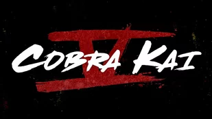 Cobra Kai: Netflix-Teaser k&uuml;ndigt 5. Staffel f&uuml;r September an