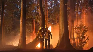 Fire Country: Trailer zur CBS-Feuerwehrserie von Max Thieriot