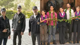 NCIS: Crossover mit NCIS - Hawai'i zum Start der 20. Staffel