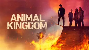 Animal Kingdom: Deutschlandpremiere der 6. Staffel im Oktober
