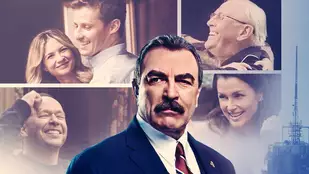 Blue Bloods: Staffel 12 ab M&auml;rz bei Sky One