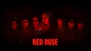 Heute neu: Red Rose bei Netflix 