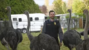Animal Control: Weasels and Ostriches - Review der Pilotepisode
