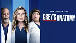Grey's Anatomy: Langzeitdarsteller kündigt Ausstieg an