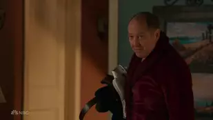 James Spader in der Serie „The Blacklist“