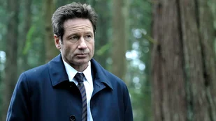 The X-Files: David Duchovny geht mit Streikschild viral