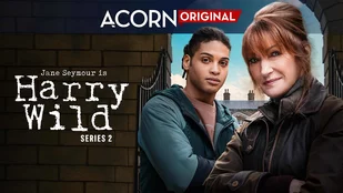 Harry Wild: Starttermin und Trailer zur 2. Staffel