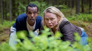 Detective No. 24: Anna - Review zur Pilotfolge