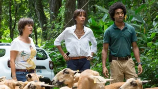 Heute neu: Staffel 3 von Deadly Tropics bei ZDFneo