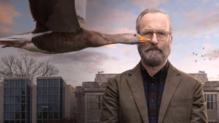 Lucky Hank: Nach nur einer Staffel schon wieder eingestellt