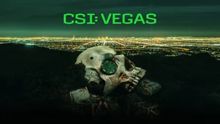 CSI: Vegas: Welche Darsteller:innen sind in der 2. Staffel zu sehen?