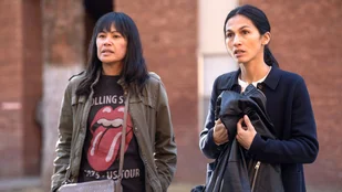 US-Quoten: The Cleaning Lady bei FOX am Tiefpunkt