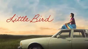 Poster zur Serie „Little Bird“