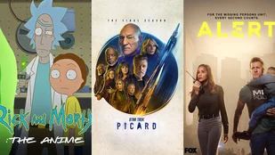 Picard, Rick and Morty Anime und mehr bei Warner-Pay-TV