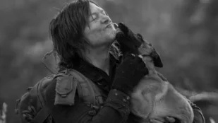 The Walking Dead: Stars trauern um Schauspielhund Seven