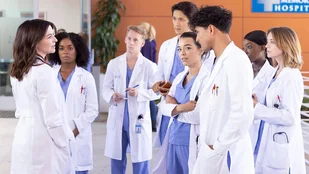 Heute neu: Staffel 20 von Grey's Anatomy bei ProSieben