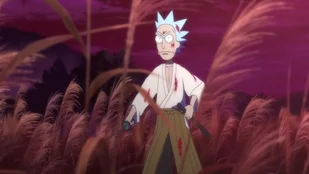 Rick and Morty - The Anime: Warner TV Comedy datiert Deutschlandpremiere