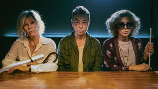 Heute neu: Staffel 2 von Die gr&uuml;nen Handschuhe bei Netflix