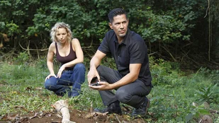 Heute neu: Staffel 5 von Magnum P.I. bei VOX