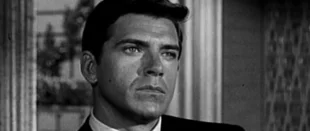 The Green Hornet: Schauspieler Van Williams ist tot