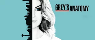 Grey's Anatomy: Wie geht es in Staffel 13 der Serie weiter?